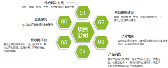 金色大地李邦成 智慧農(nóng)裝與金融信息服務(wù)雙輪驅(qū)動(dòng)，開(kāi)創(chuàng)現(xiàn)代農(nóng)業(yè)發(fā)展新模式